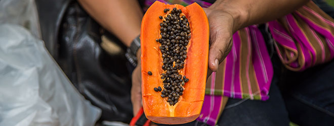 Una persona sosteniendo una papaya. QAI puede ayudarle a obtener la certificación de orgánicos en México.